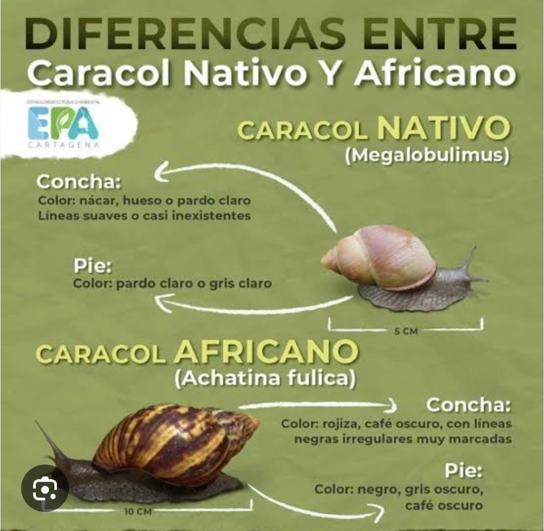 DPolanco3520's tweet photo. Enemigo silencioso.....alerta . https://t.co/NWU5D2xRFj