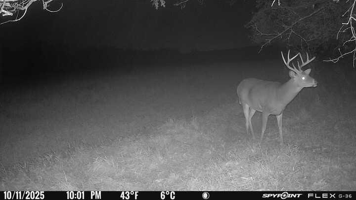 Greatlakesgirl_'s tweet image. Let the games begin. 🏹

#SPYPOINT