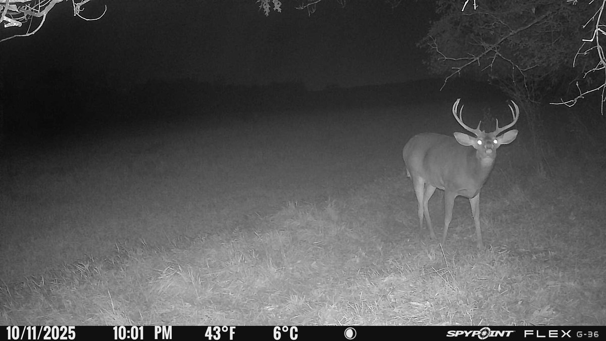 Greatlakesgirl_'s tweet image. Let the games begin. 🏹

#SPYPOINT