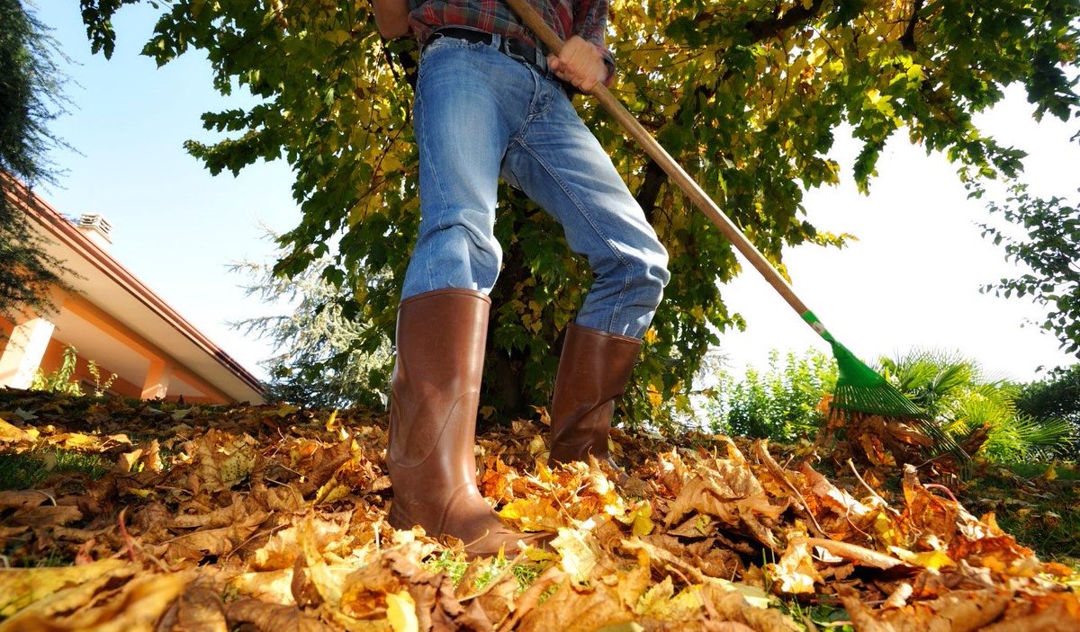 🍂 Fall Leaves &amp; Pumpkins: Turn Waste Into Garden Gold! 🎃

👉 Mulch your leaves to enrich your soil.
👉 Compost pumpkins + leaves for nutrient-rich compost.

Give back to your garden &amp; reduce landfill waste! 🌱
Learn more oeq.net/2025/10/14/tur…