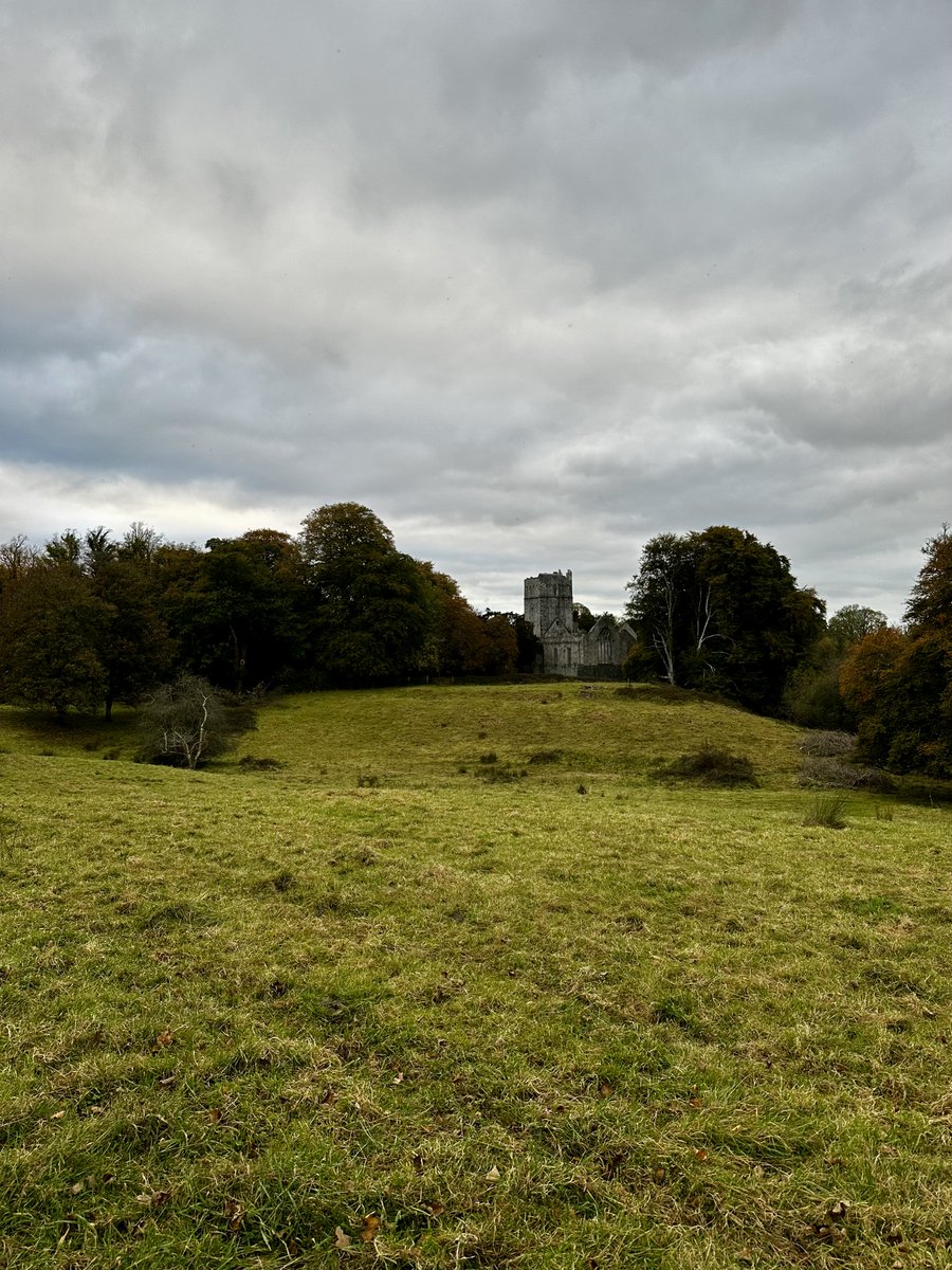 Visited Killarney today and was struck how this part of Ireland used to be nearly all Oak woodland. 

It would be be great to see more native reforestation projects 🌳 in Ireland 🇮🇪 

Maybe a place to expand ⁦<a href="/yishan/">Yishan</a>⁩?