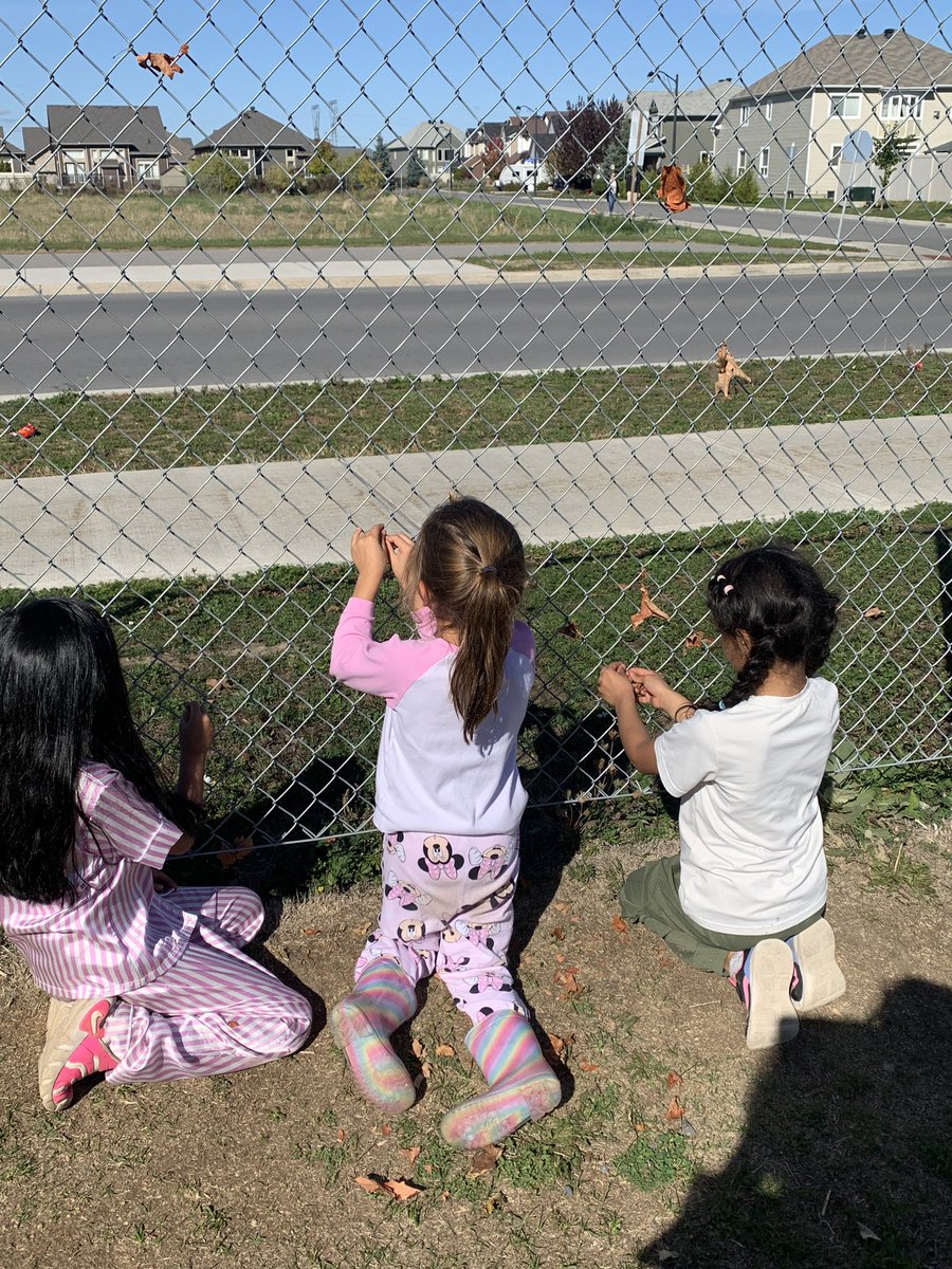 A favourite moment today was seeing these Bears use the falling leaves to decorate the fence.  The fence is a fabulous canvas to be creative.  Our Bears are critical thinkers and know the power of creative play! <a href="/HannahBeachEDU/">Hannah Beach</a>