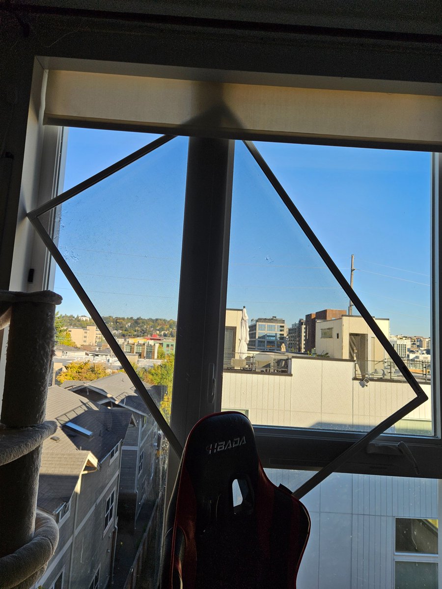 RustyChicken tweet media