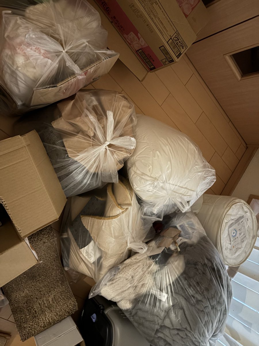 掃除してたらゴミ袋屋敷になった
ゴミ捨てに追われる日々✌️