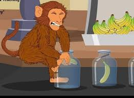 Taking a loss is not hard. It's the Monkey Mind's resistance to taking that loss that is... 
#tradingpsychology #MonkeyTrap