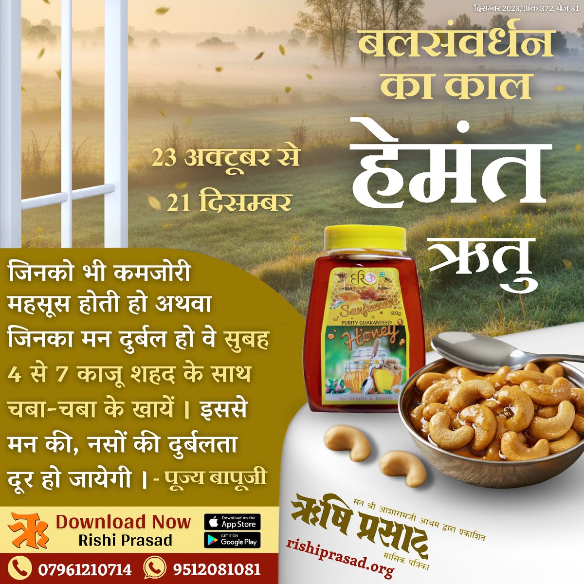 हेमंत ऋतु - बलसंवर्धन का काल
(23 अक्टूबर से 21 दिसम्बर)
जिनको भी कमजोरी महसूस होती हो अथवा जिनका मन दुर्बल हो वे सुबह 4 से 7 काजू शहद के साथ चबा-चबा के खायें । इससे मन की,
नसों की दुर्बलता दूर हो जायेगी ।  - पूज्य बापूजी
दिसम्बर 2023, अंक 372, पेज 31
#RishiDarshan
#RishiPrasad