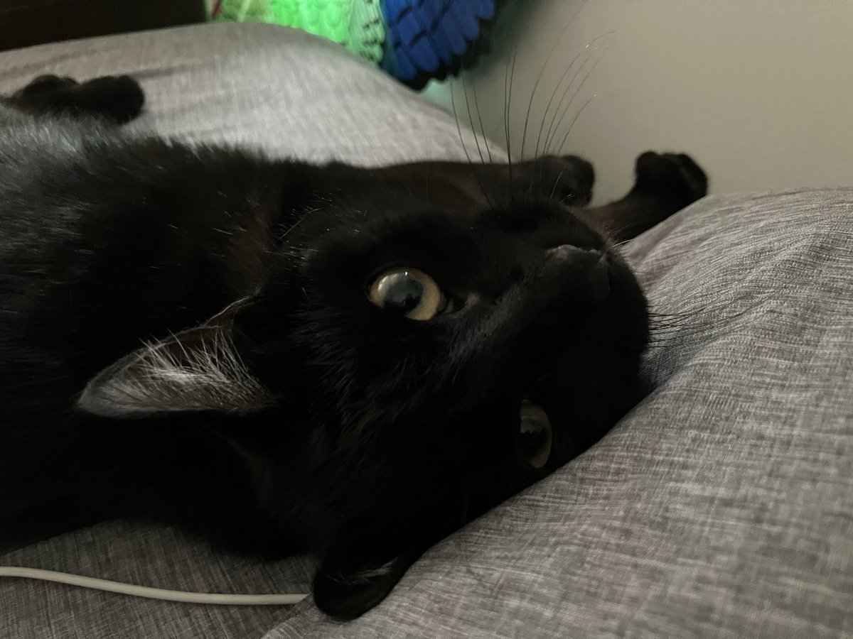 Is it nap time?