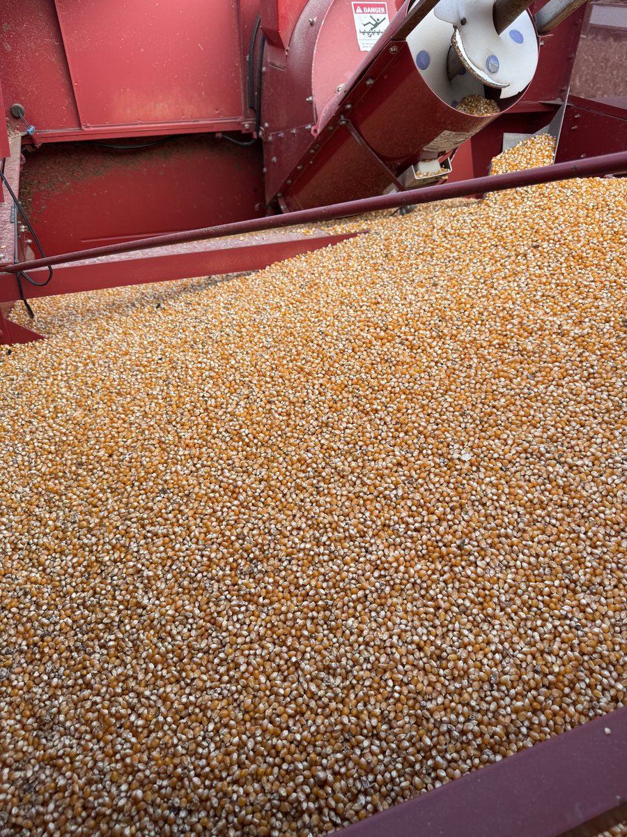 Gavin Spoor tweet media