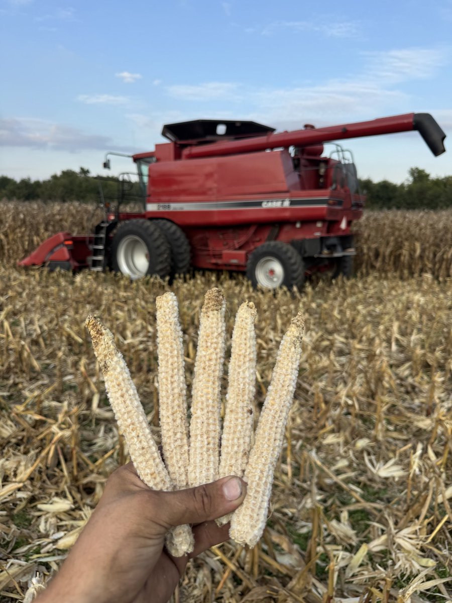 Gavin Spoor tweet media