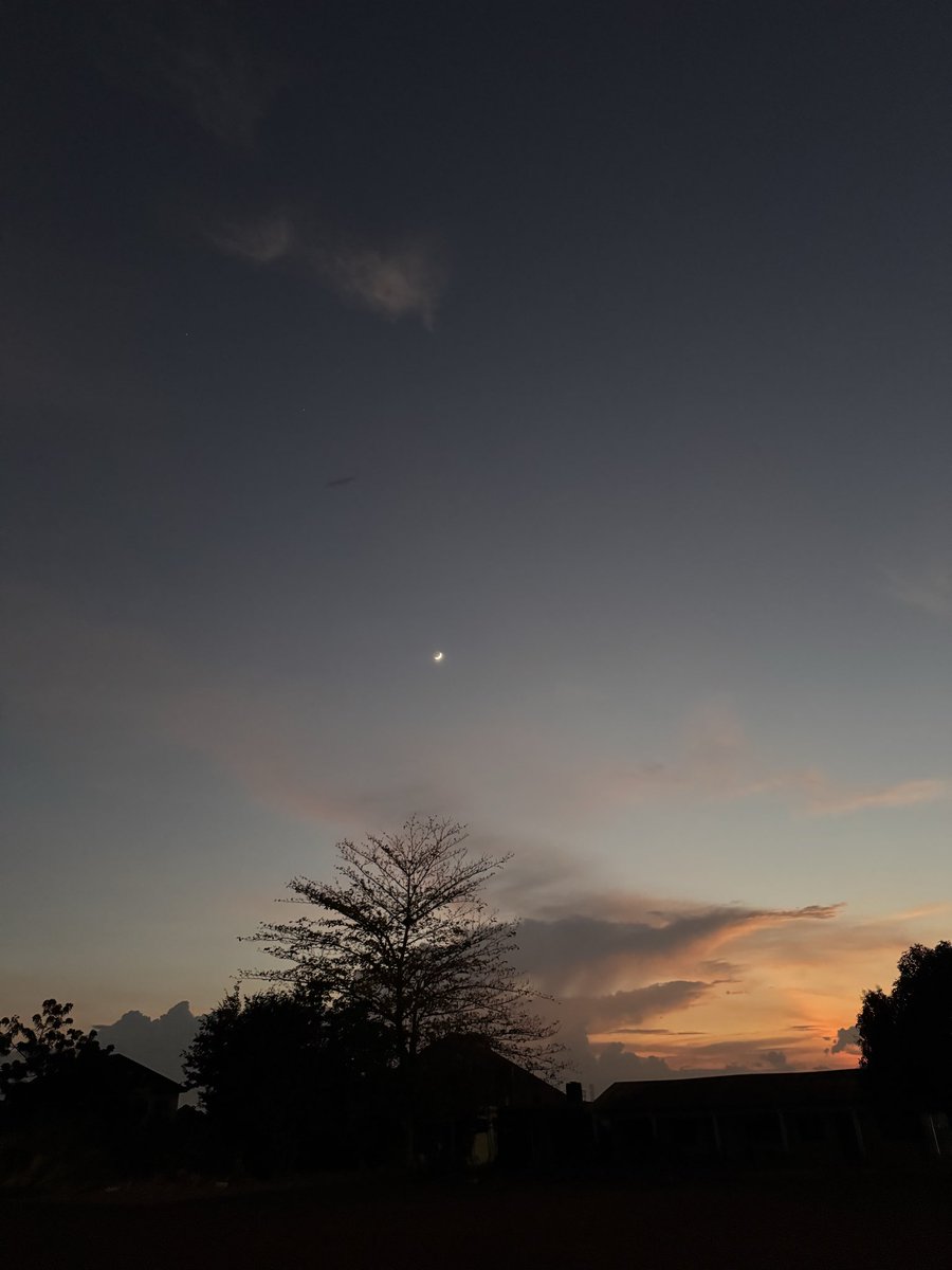 #NaturePhotography #Nature 

I take nice pictures