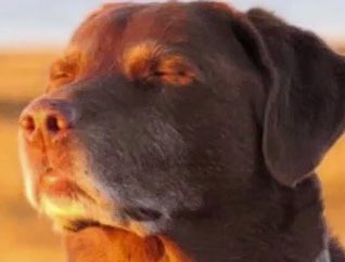 HshUkd's tweet image. #引用でボロクソに言われたい