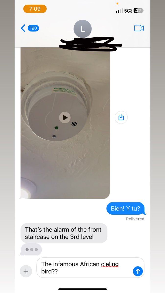 Gingybets's tweet image. African ceiling bird 🐦 gotta change them batteries and watch the airflow on your spliffs #notrocketscience