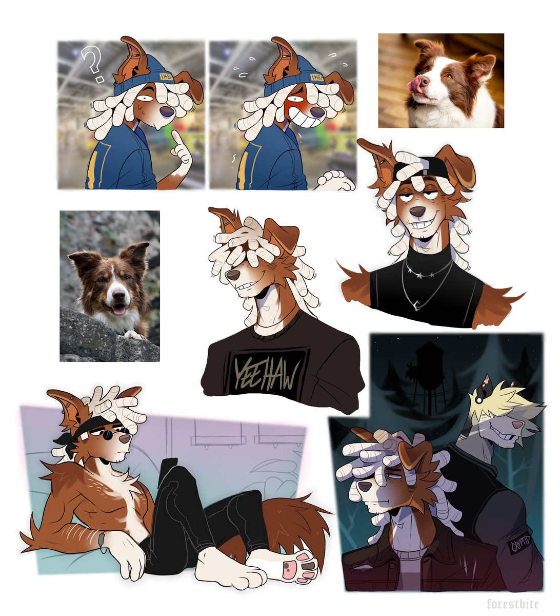 adding another good boy to my collection 🐶