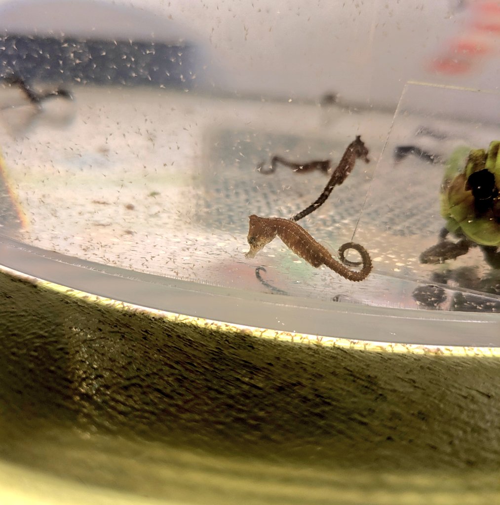 テージー株式会社【公式】🌟創業116年目の文具・事務用品メーカー🌟 on X