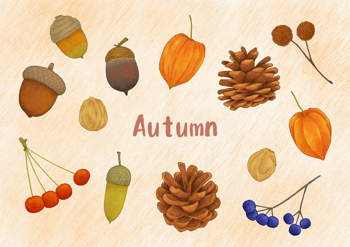秋、ころころ
#木の実 #イラスト #illustration