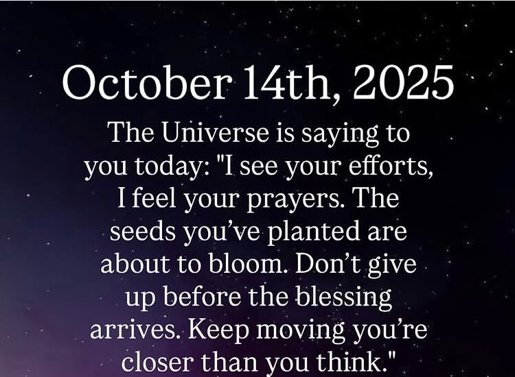 You’re closer than you think ✨