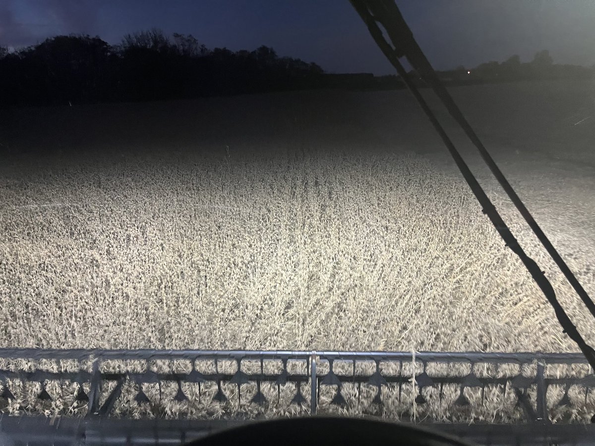 Adam Pfeffer tweet media