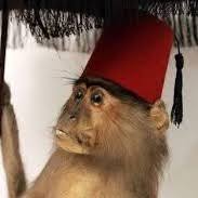 <a href="/tugberk37/">Tuğberk</a> 😀😀