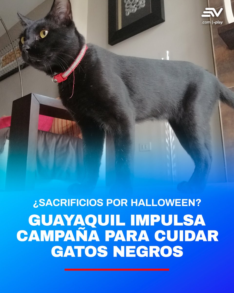 Comunidad Guayaquil tweet media