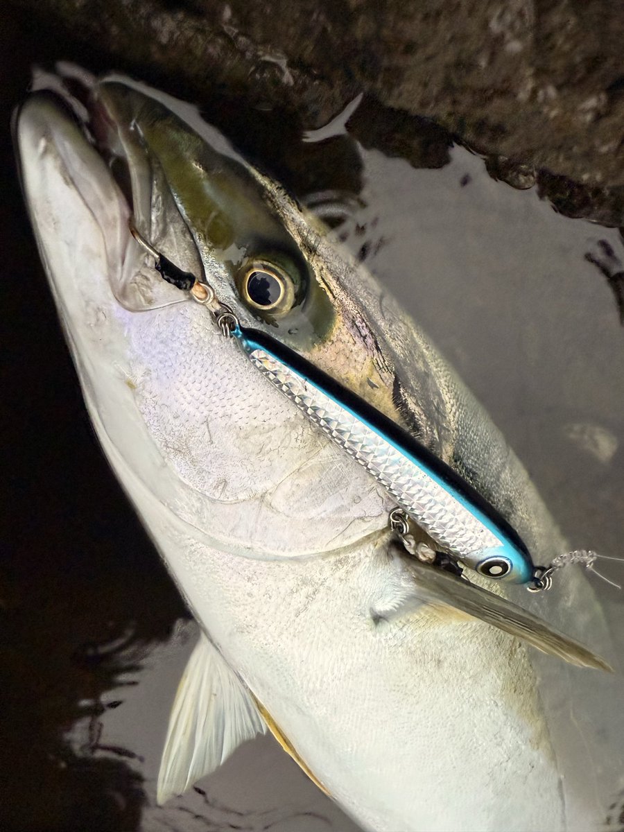 murachio's tweet image. 久しぶりに会えて嬉しいよ🔥