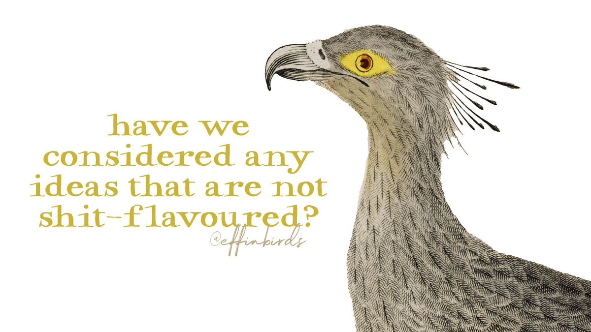 EffinBirds's tweet photo. https://t.co/iCiiEfMUQv