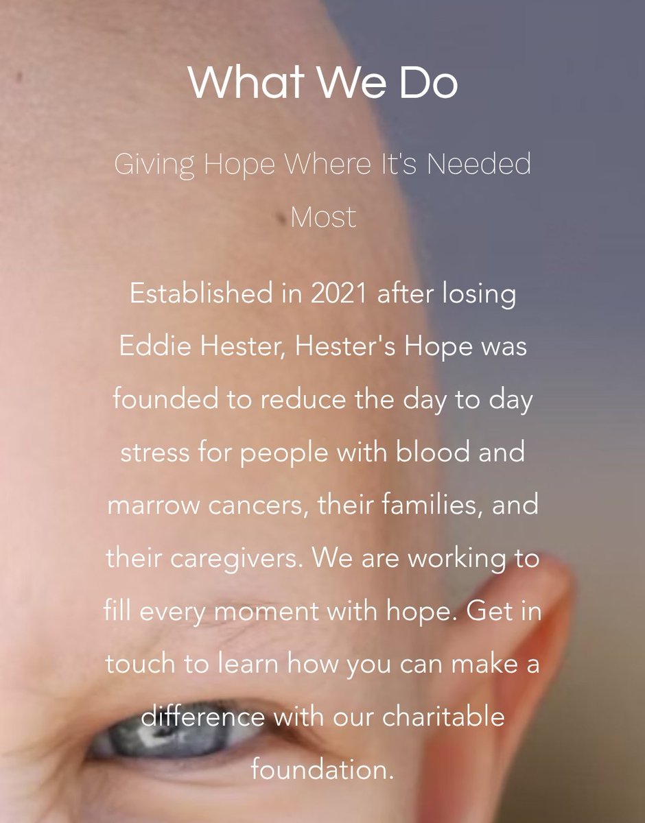 Arkadin Cinema & Bar tweet media