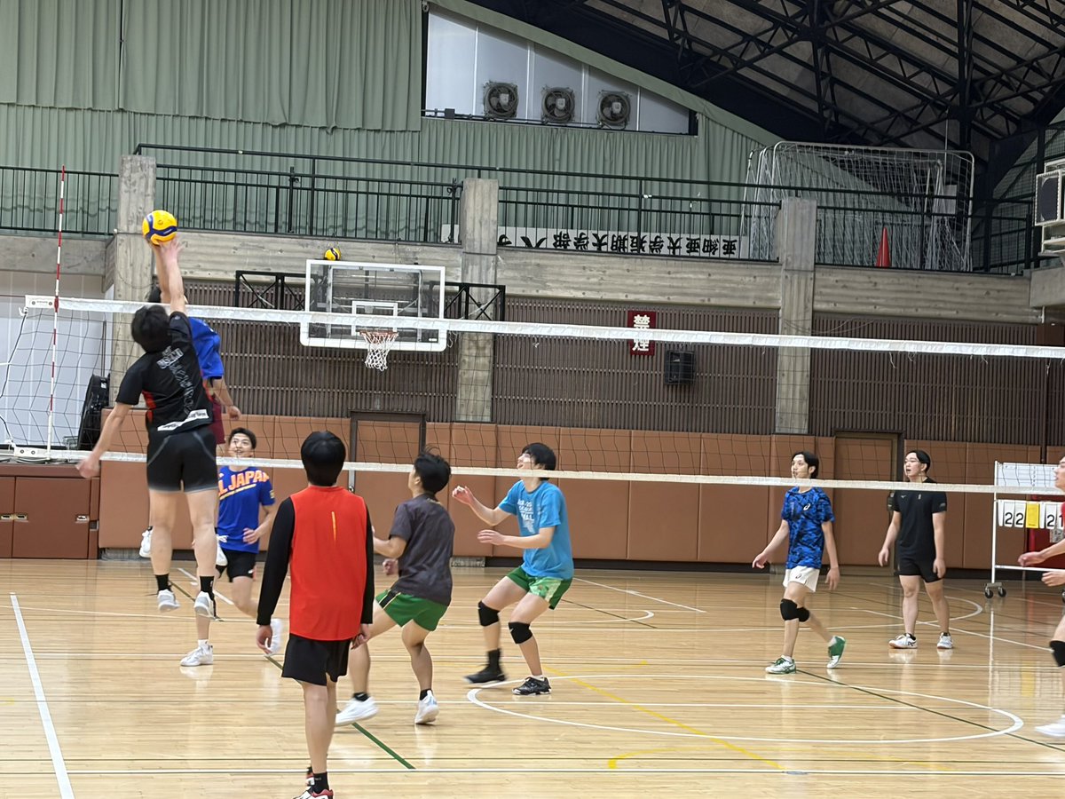 サイン入りバレーボール Vリーグ トヨタモビリティ東京スパークル
