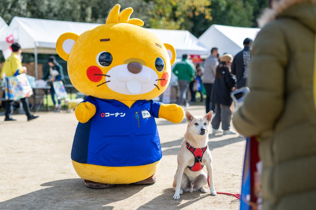ワンワン運動会の予告です🥳🐕🐕

今年は11/8(土)に大阪府堺市の大泉緑地球技広場で実施します✨
昨年もお客様もワンちゃんも大興奮のイベントとなりました😉

ぜひ遊びに来てくださいね👍

■イベント詳細はこちら
hc-kohnan.com/campaign/wanwa…

#ワンワン運動会