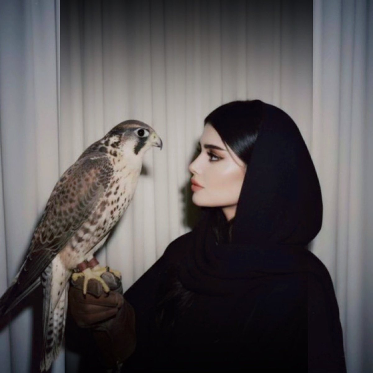 اصلٍ رفيع الساس وعذبٍ مصبّه 💯