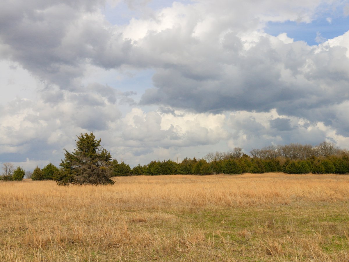 Robin Reid and Ashlee Westerhold are on Agriculture Today to discuss the 3rd Landowner Conference. They explain who the conference is focused towards and what information can be gained from attending. 
agtodayksu.libsyn.com/2038-deer-food…