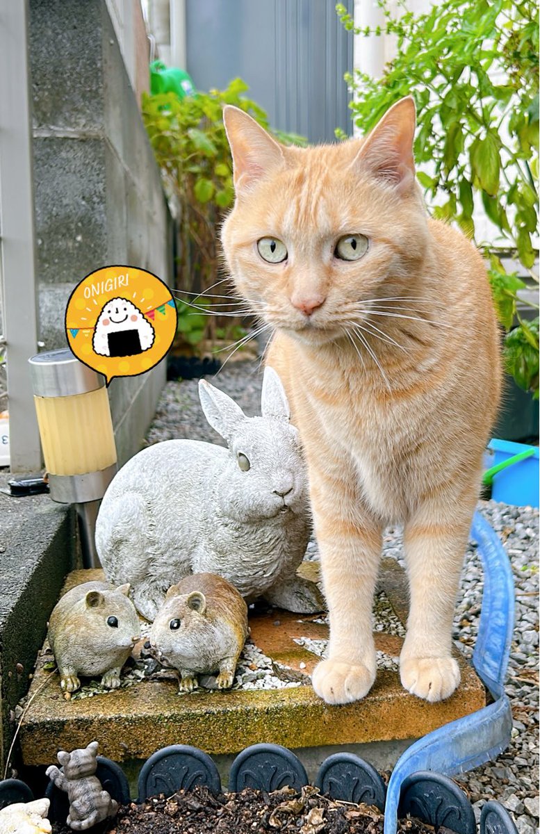 ちーさま⭐︎専用ページ ちーさま (@ouchikaeru1234) / Posts / X