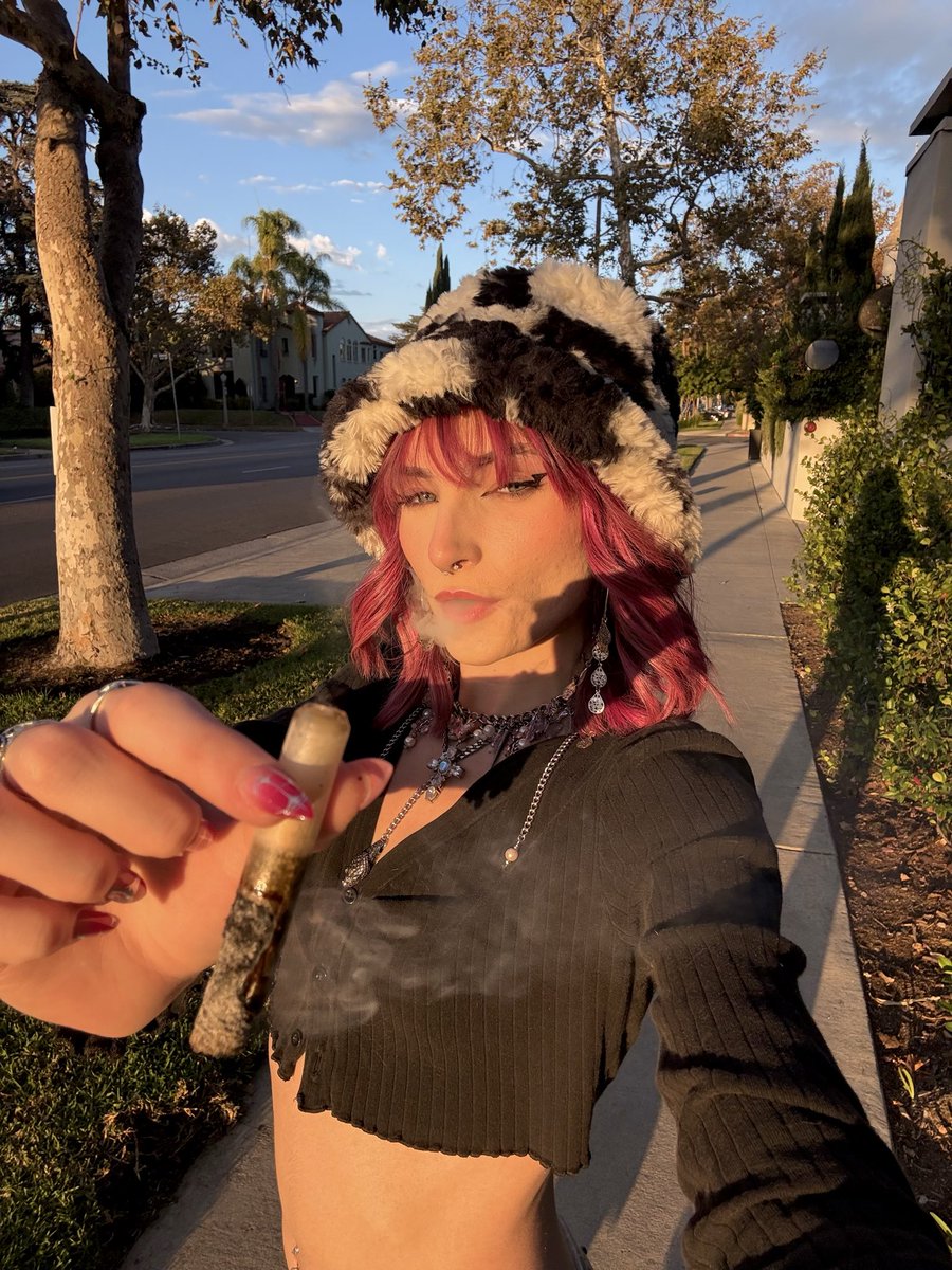 Shannon 🧚🏻💕 tweet media