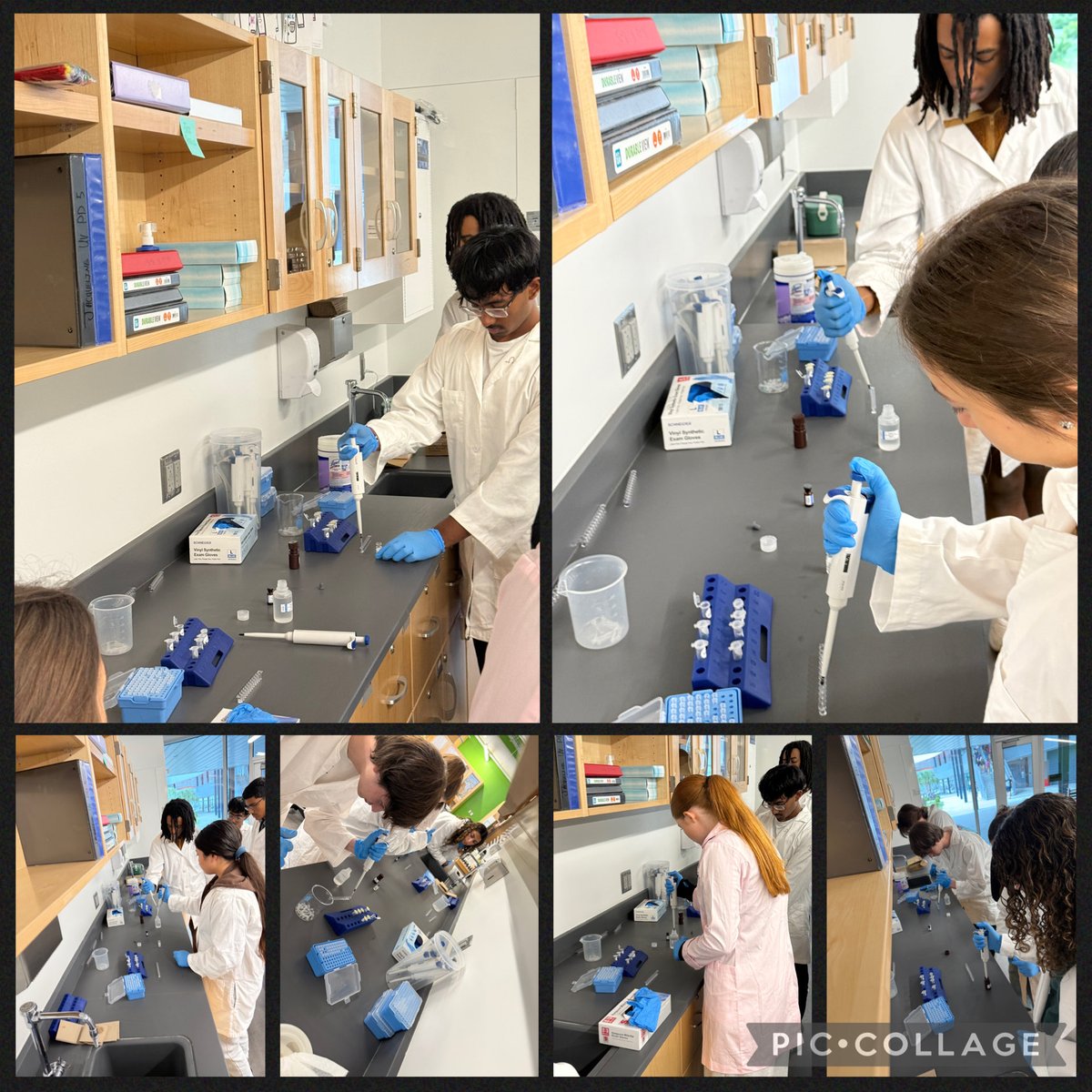 Our Biomed students put their investigative skills to the test! Using ELISA testing, they worked to detect meningitis in simulated patient samples and trace the infection back to “patient zero.” Hands-on science in action!