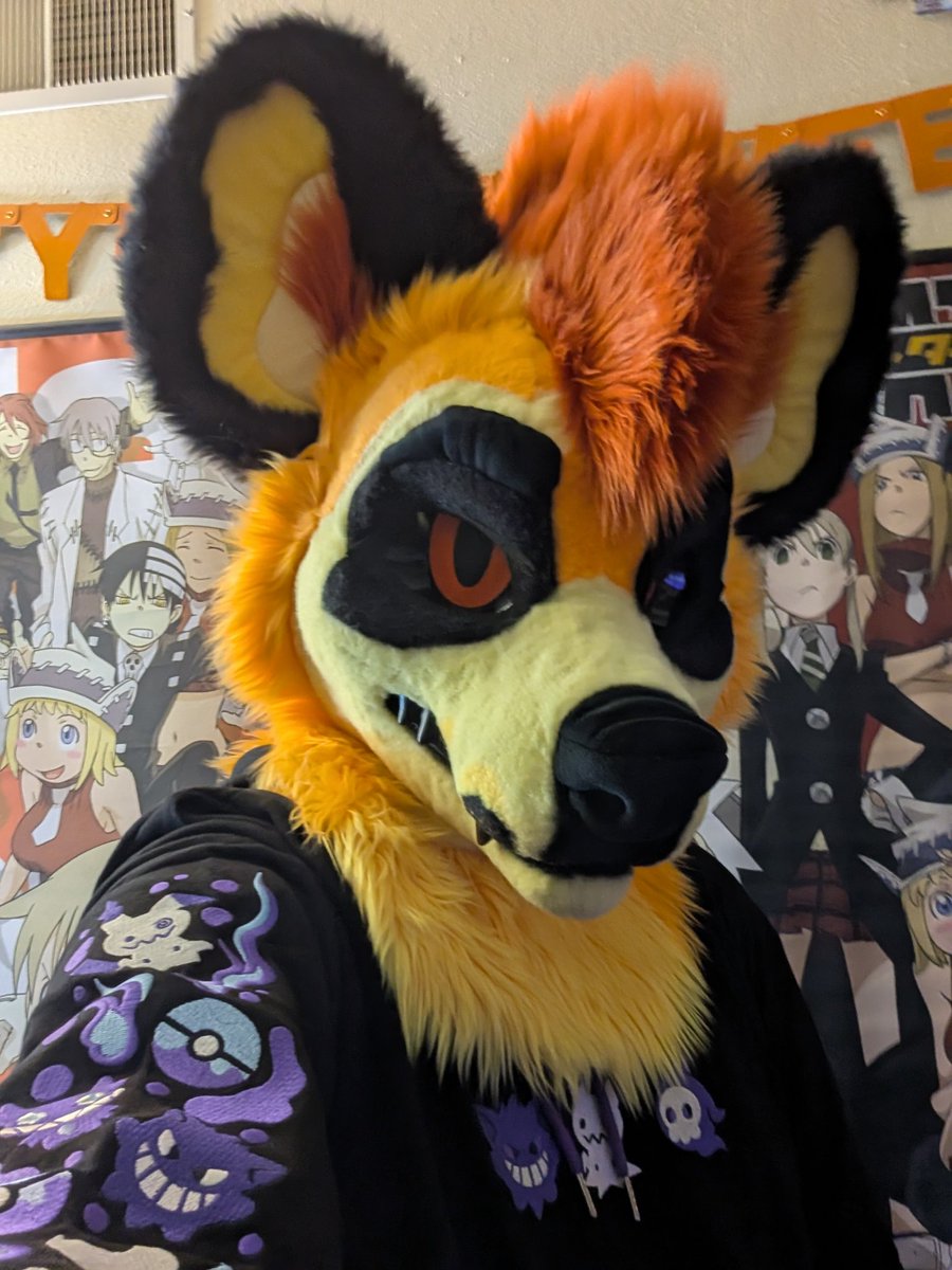 Got my Ghost pokebit hoodie from <a href="/kamiaristudio/">kamiaristudio</a> !!! Happy to just get it before my trip to Salem Massachusetts! Gonna be extra spooky! 🎃 🕸️ 🧹 ☠️ 🕷️ 🍬