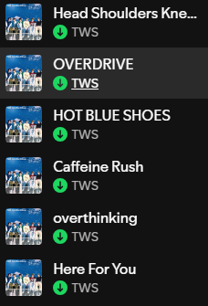 Loved all the songs. My favorite song was "Head Shoulders Knees Toes" :)

#TWS