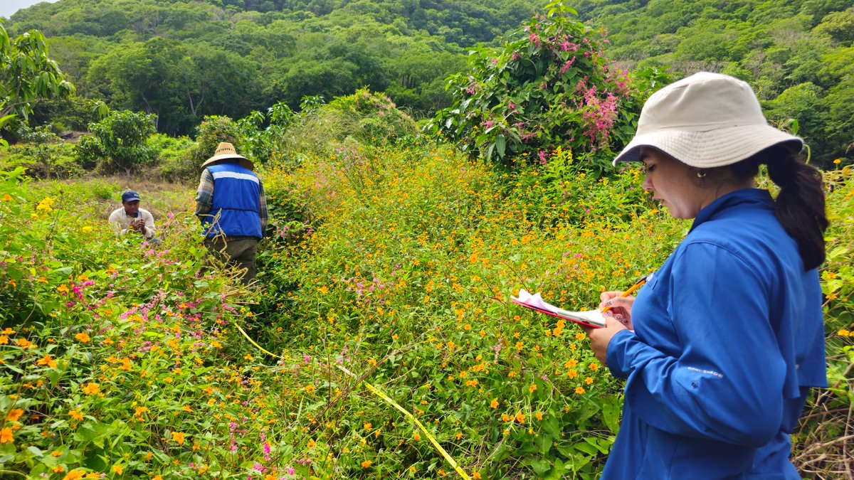 Conselva, Costas y Comunidades tweet media