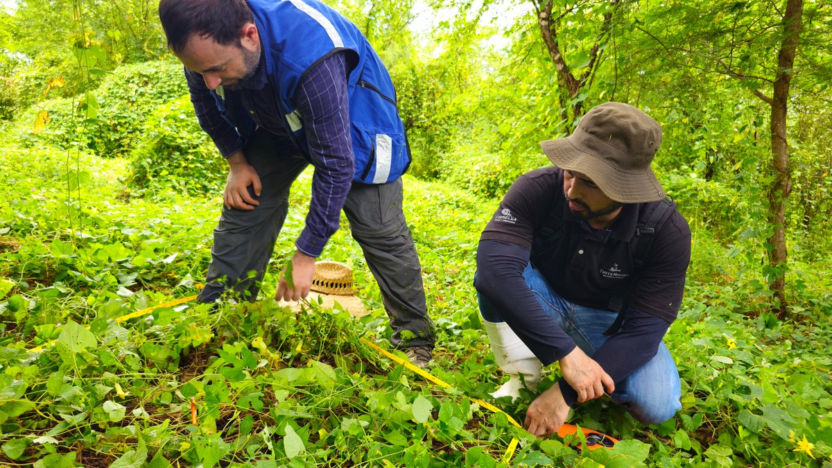 Conselva, Costas y Comunidades tweet media