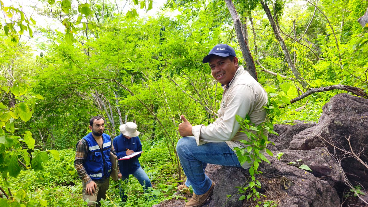 Conselva, Costas y Comunidades tweet media