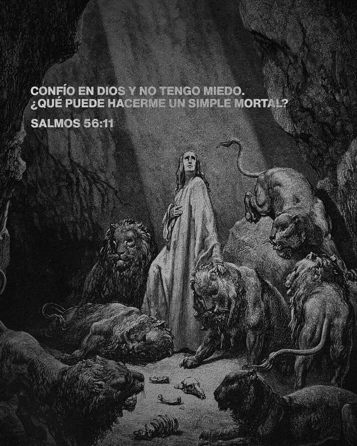 el Siervo (@elsiervo__) on Twitter photo 