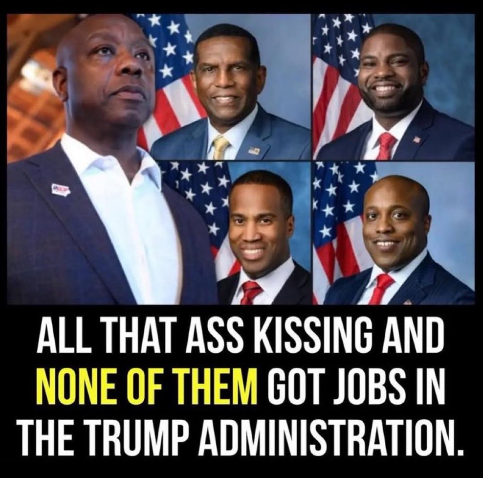 <a href="/the_jefferymead/">Jeffery Mead</a>