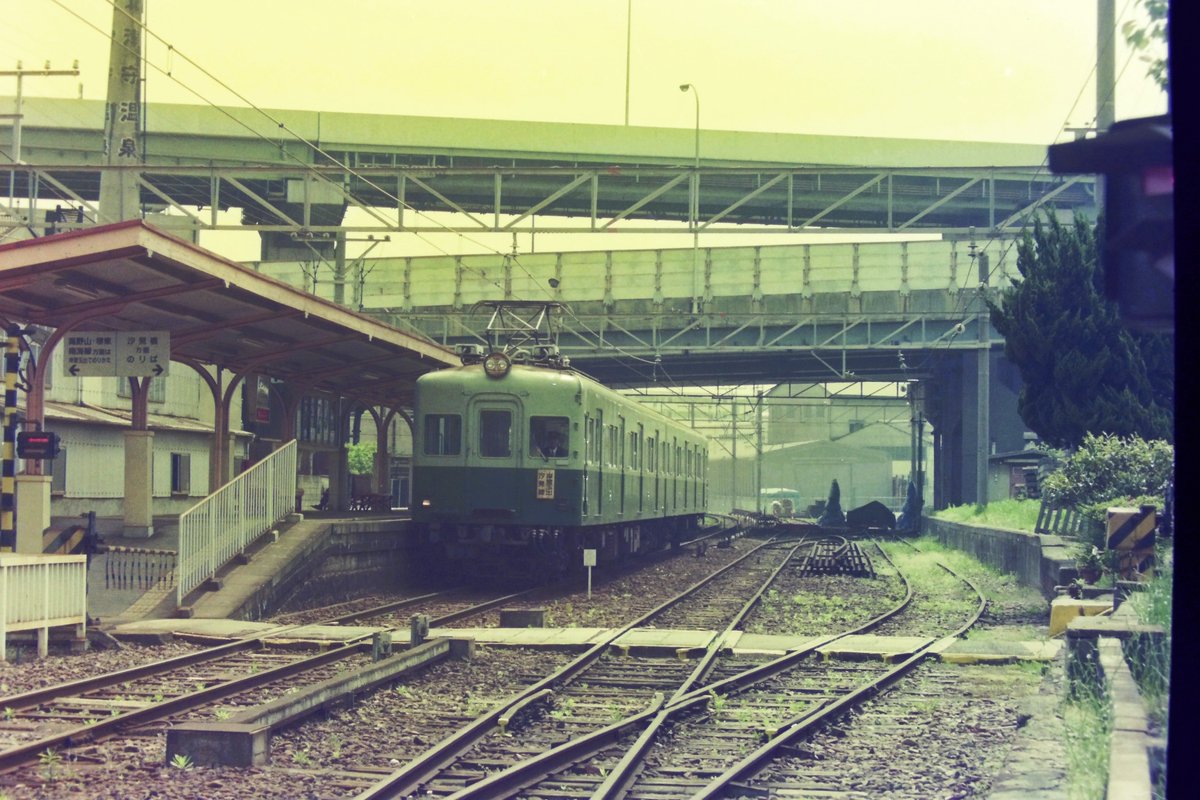 わんこ tweet media