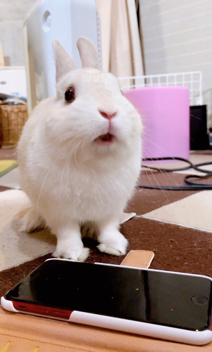 あこ (@ako328) / Posts / X