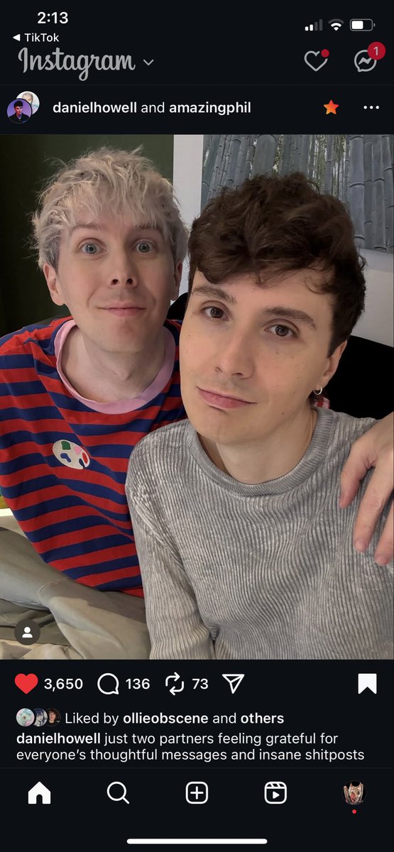 avezisnotonfire's tweet photo. @plumdropp @AmazingPhil I LOVE THEM DEARLY https://t.co/ACnn60bGsO