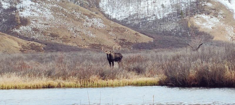 Өглөөний мэнд ээ🌅
Минжийн голын намар🌝🙏