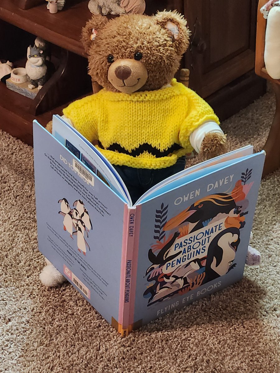 Teddy Bear Lucas is studying up on penguins before going to a bird sanctuary in Pittsburgh next month. #teddybearlucas