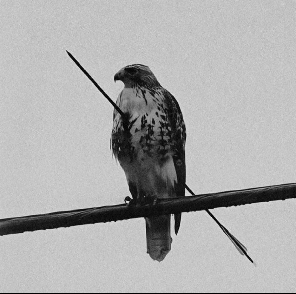 calebt__'s tweet image. Perception shapes defeat

Defeat is a projection of the mind for some.Perception influences judgement. Making defeat a mental state rather than a definitive end. 

Illusions that are seen as defeat, amplify the mental construct of defeat. Molding itself in each person. 

The…