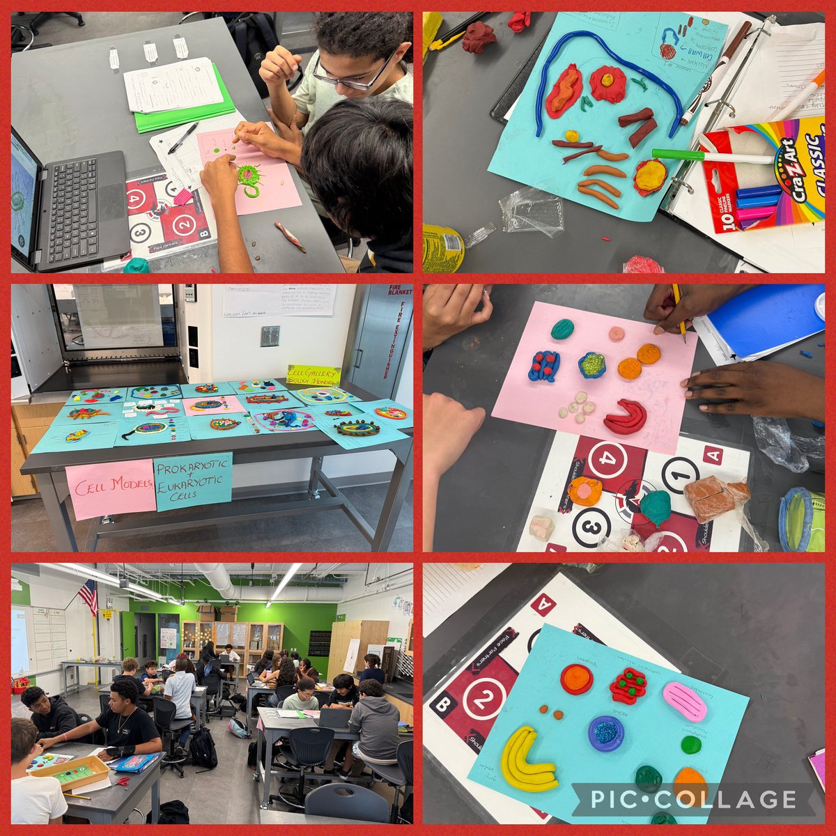 Our Biology students got creative this week building models of prokaryotic and eukaryotic cells! 🔬✨ From organelles to cell walls, they brought cell structure to life while exploring the differences between these two types of cells. Hands-on learning at its best! 🧫🧠
