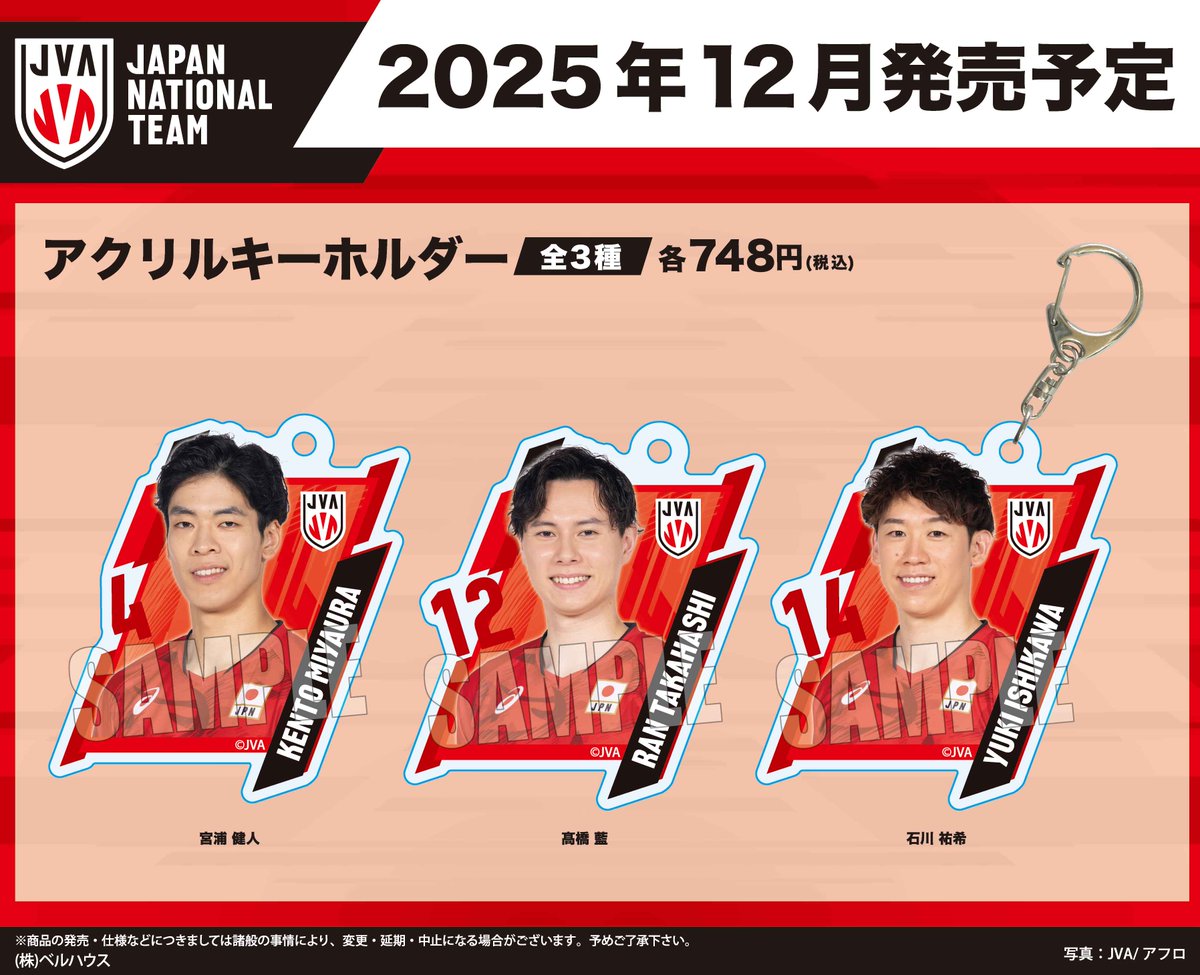 【希少】バレーボール日本代表 記念皿 東京五輪2021 石川祐希が“最高の仲間”と本気で挑んだ金メダル「バレーボールを