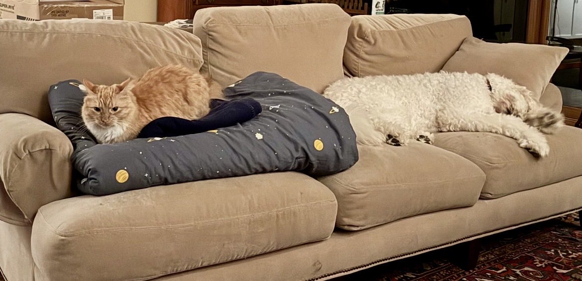 Greta Van Susteren tweet media