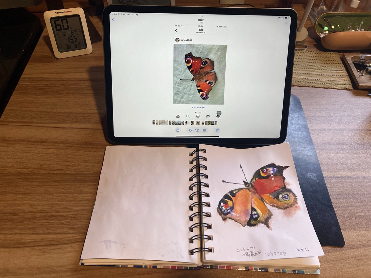 korosato09's tweet image. 難しい、、もう水彩じゃなくなっている。練習が必要なんですね。
#水彩画　#練習#練習　#クジャクチョウ
↓おすすめチャンネルです
Niaz Hannan Watercolors
youtu.be/wwXdhX5iMVY
素晴らしい！👍観ているだけで楽しいです。密かに魔法使いと呼んでいます。
#魔法　#水彩　#Respect